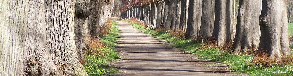 Fuehrungen