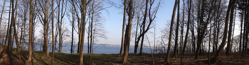 fuehrungen