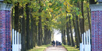 files/Begraebniswaelder/Waldfrieden Schloss Luetetsburg/Bilder/3 Home 200x100/Home-Begraebniswald-1.jpg