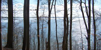 files/Begraebniswaelder/WaldfriedenamSee/Bilder/home-begraebniswald.jpg