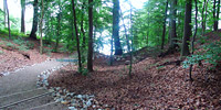 files/Begraebniswaelder/WaldfriedenamSee/Bilder/home-info.jpg